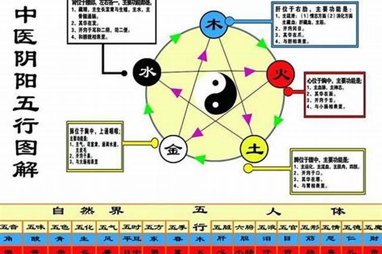 之五行属性五行属什么