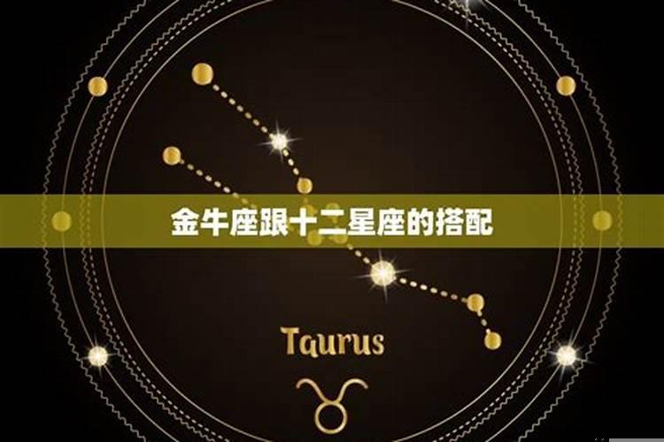 狮子男配对指数最高的星座是什么