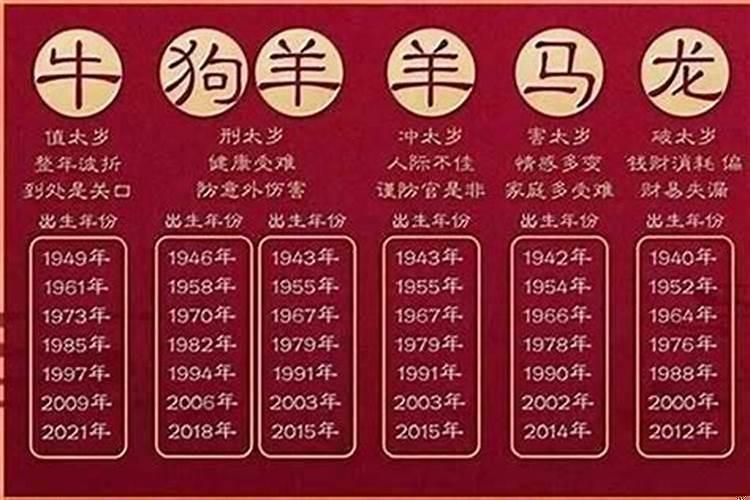 15是什么生肖年