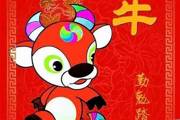 三九年的兔今年运气好不好