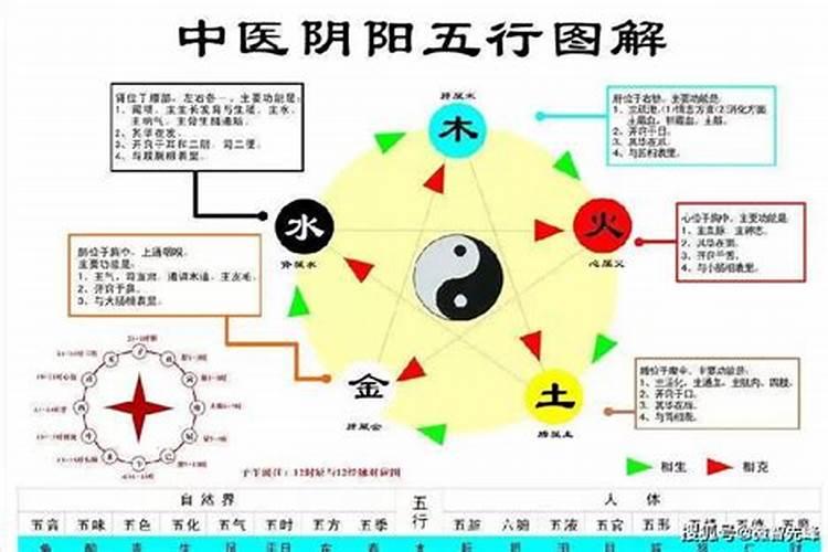 哪个明星是小年生日