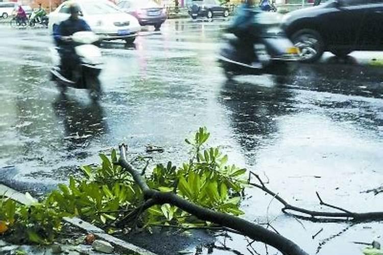 梦见台风天家里窗户刮掉雨进来