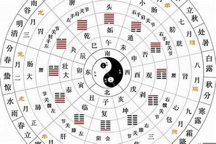 琦这个字在五行中属什么