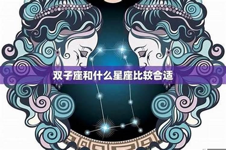 双子男和那个星座