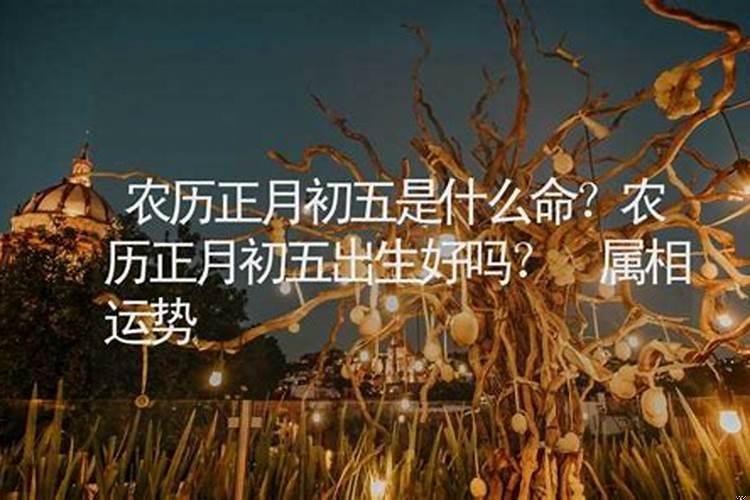 摩羯座是什么缺点