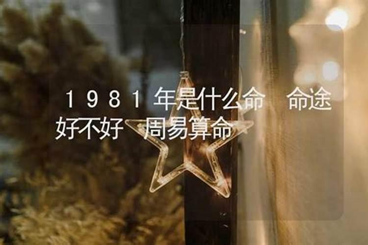 1981年是什么命属什么命