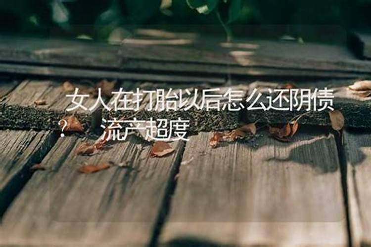 属虎的人生肖花是什么