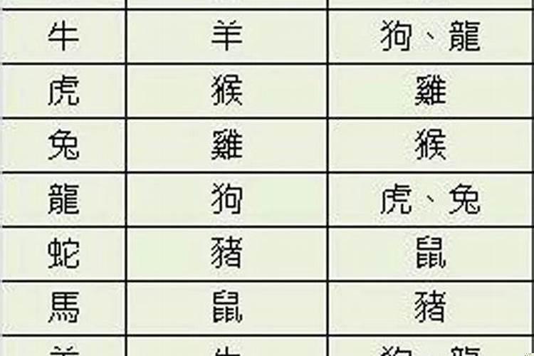 和属相相冲的人在一起会运气不好吗？