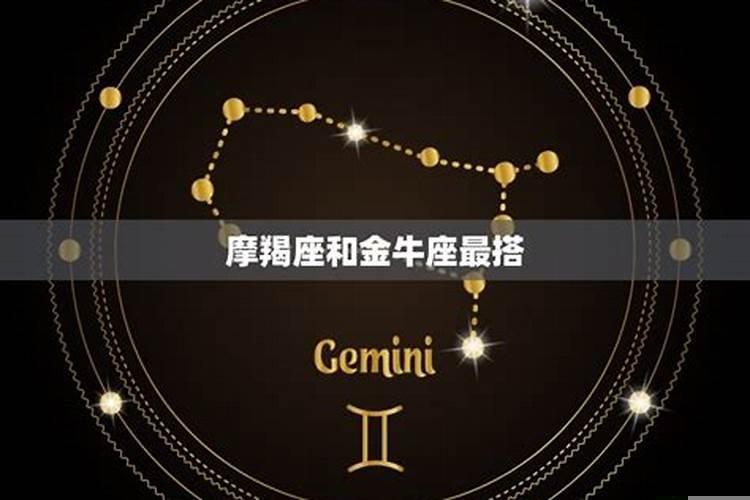 什么星座克摩羯金牛呢