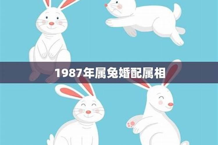 请问1987年出生的属相是什么