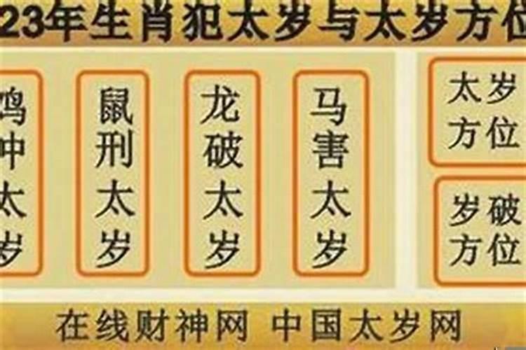 梦到马蜂预示着什么意思周公解梦