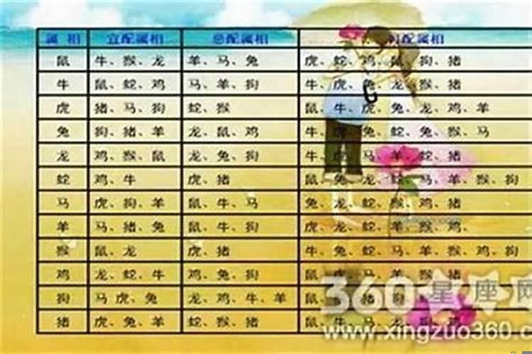 50岁属什么生肖婚配最好呢