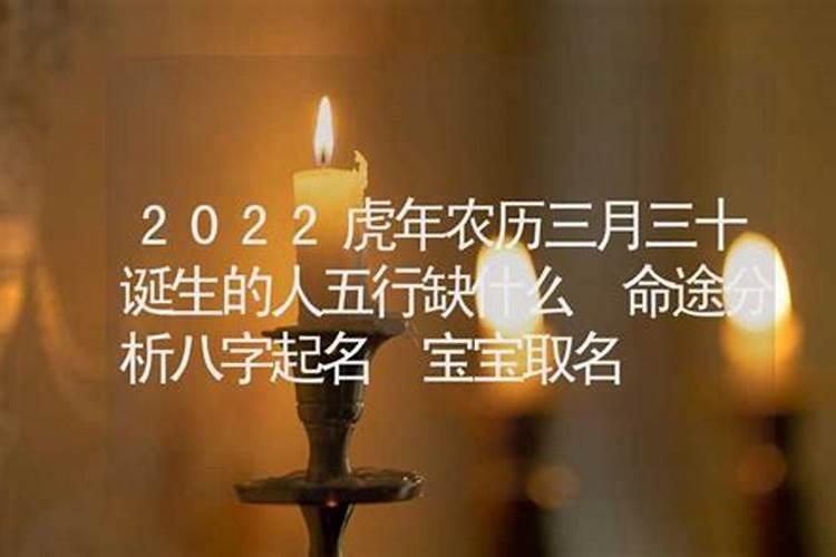 2022年虎年五行属什么