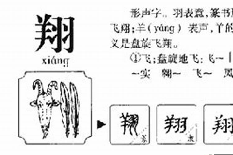 展字五行属什么