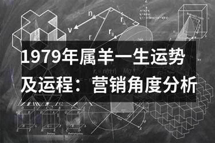 属羊一生命运如何尤其是1979年