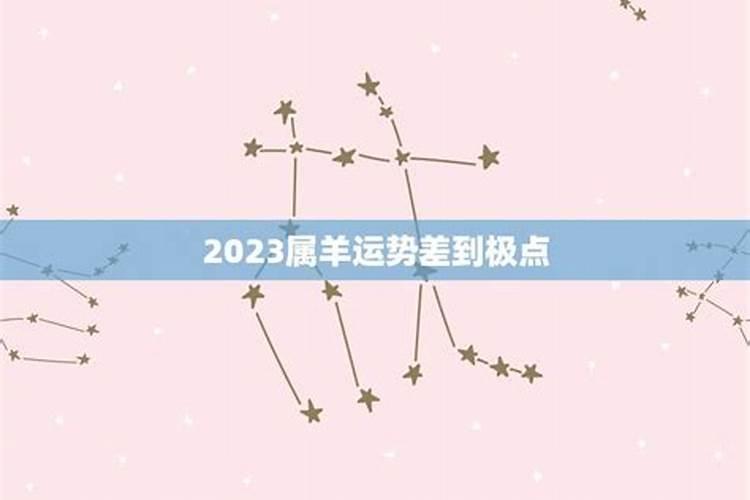 生肖羊2023年2月运势