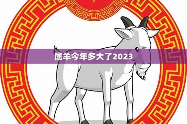 属羊今年多大2020年