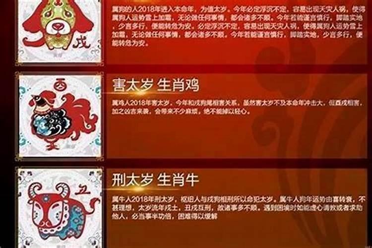 本命年运气会比较差吗属虎