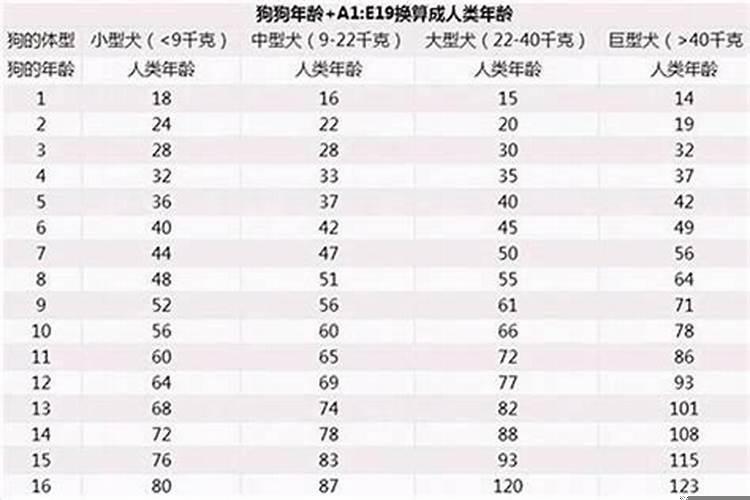 90年代属狗的今年多大