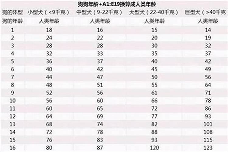 90年代属狗的今年多大