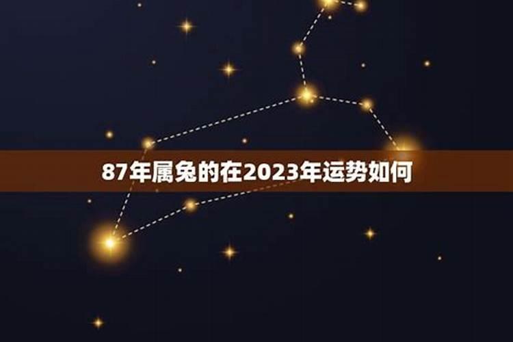 87年12月属兔的2021年运势