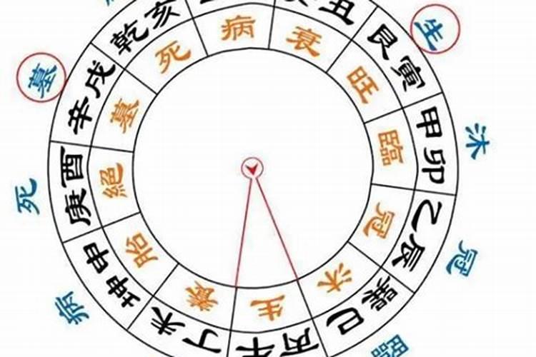 八字星运死是什么意思