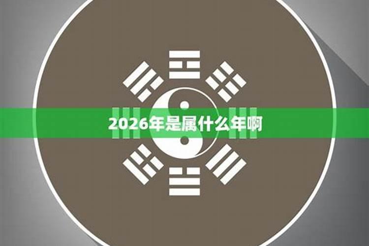 2026年属于什么生肖年