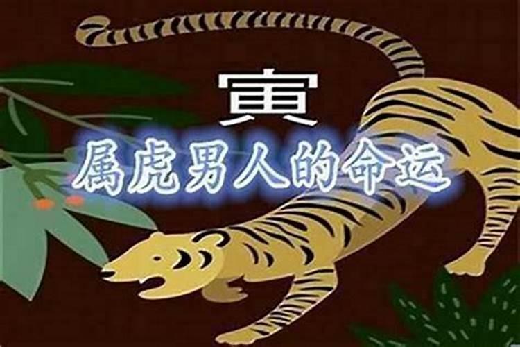 1998属虎属于五行什么命