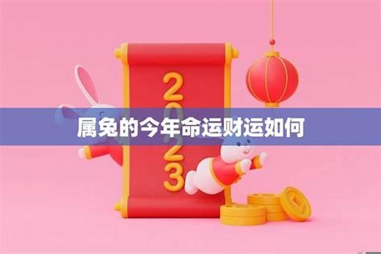 属兔的今年财运如何