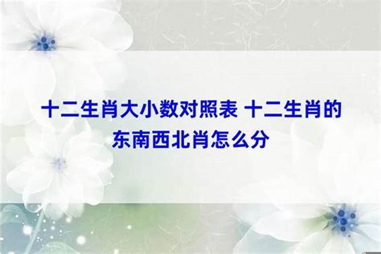 十二生肖大小数对照表