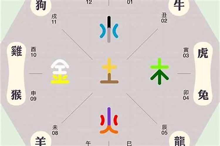 肖字五行属性是什么