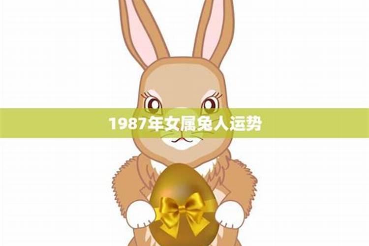 1987年属兔的运势