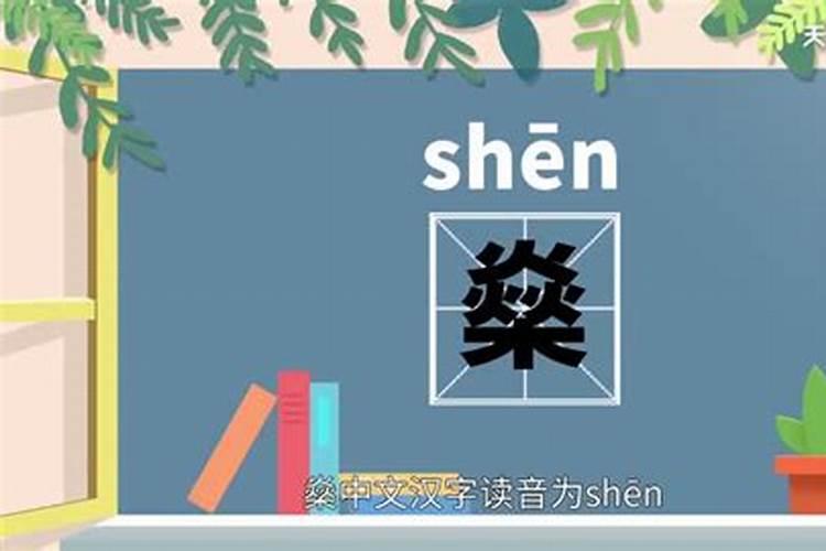 这个字五行属什么、燊