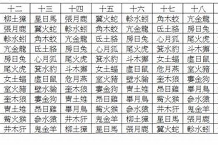 农历28是属什么