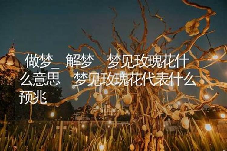 梦见玫瑰花什么意思