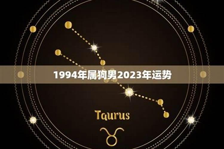 1994年属狗2023年运势如何