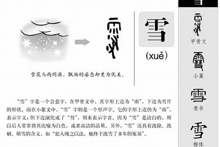 鸟字五行属什么