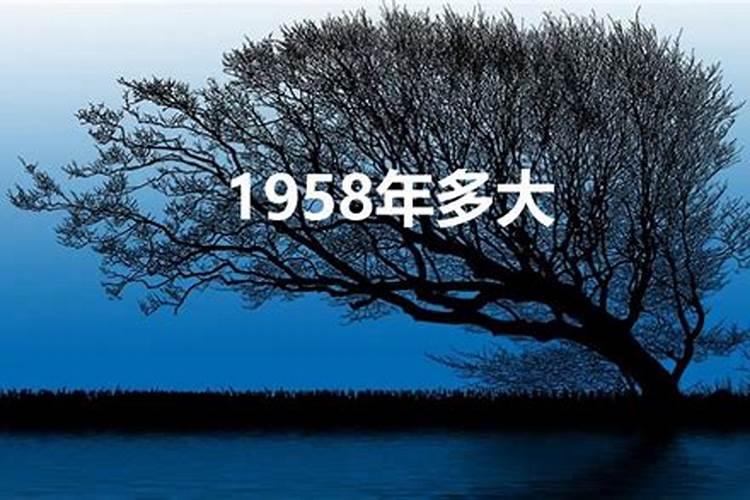 58年属狗的今年多大岁数