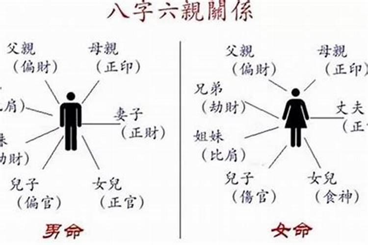 怎么看自己八字适合的职业