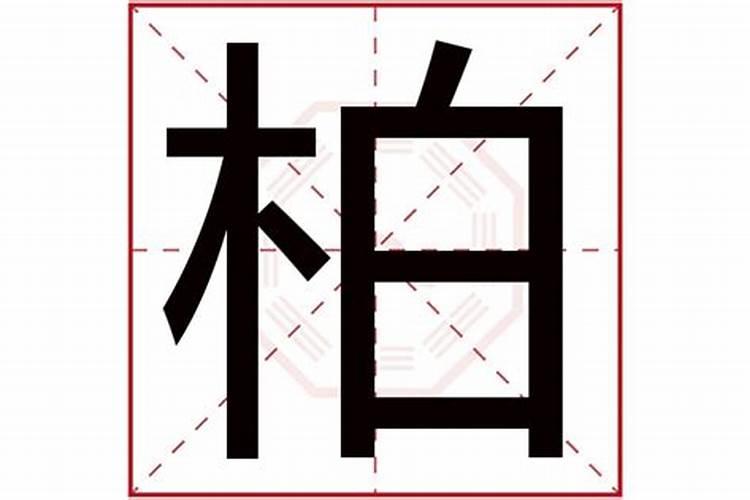 柏字五行属啥