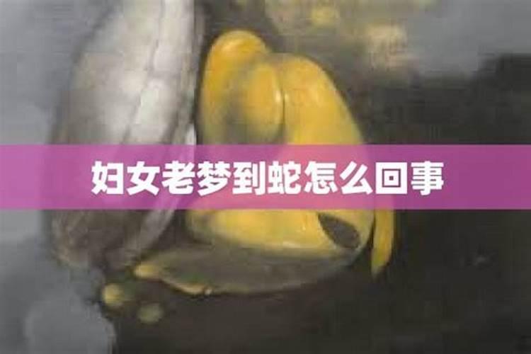 女性老是梦到蛇怎么回事