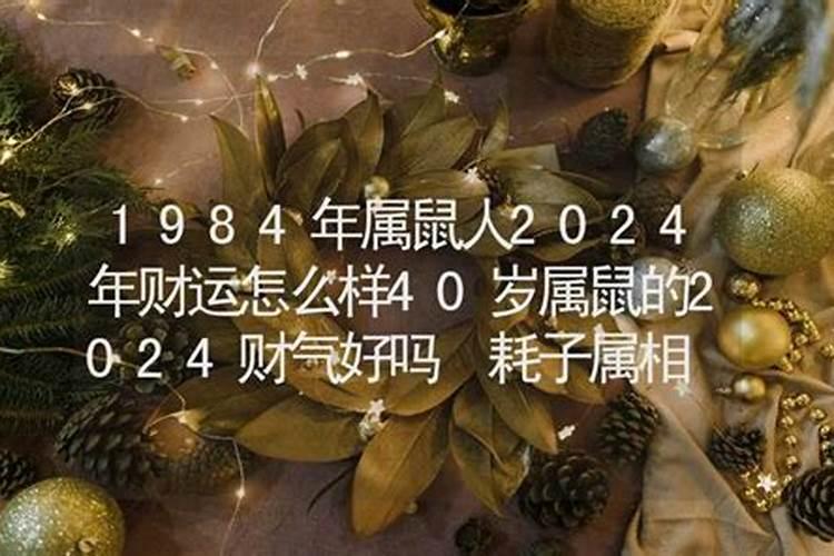 属鼠的2024年运势如何