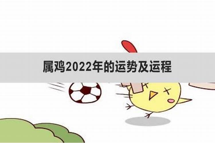 属鸡2022年的运势及运程1969年男