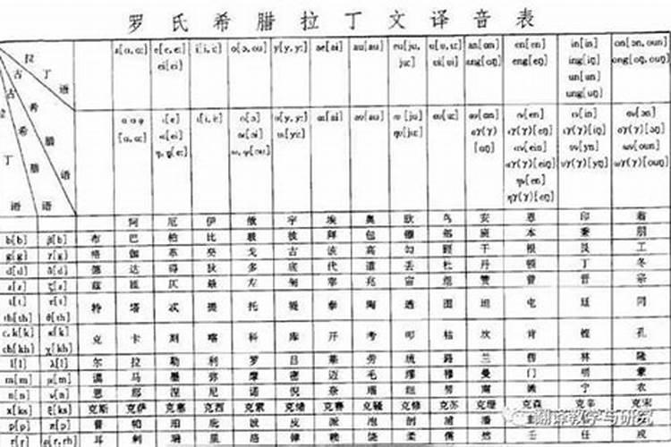 特的五行属性是什么