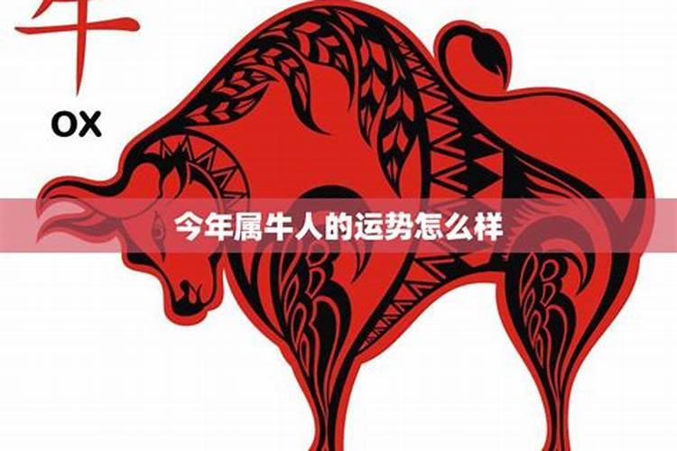 梦到大蟒蛇和蛇蛋预示着什么