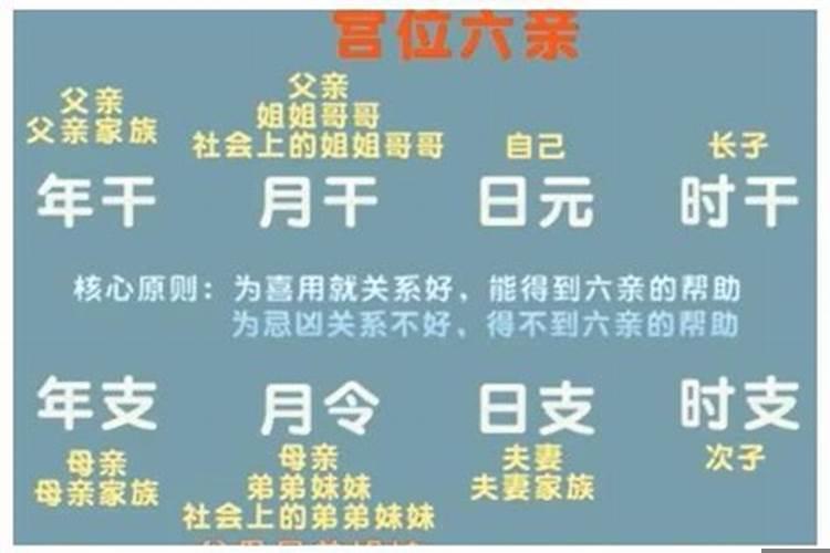 2022年动子女宫的八字