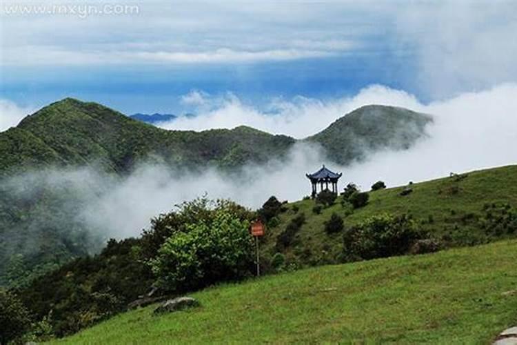 梦见在山上挖土是什么兆头