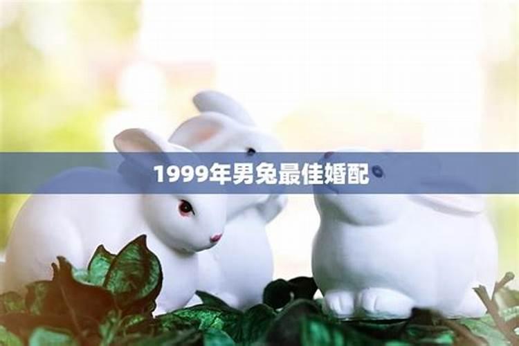 21年犯太岁