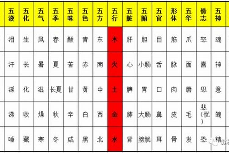 序在名字中五行属于什么字