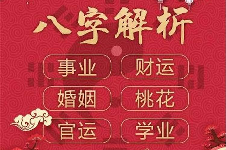 82年属狗的女人一生命运如何